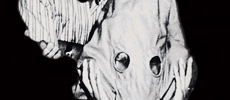 #Stormur dei ‪‎Sigur Rós, evolving music video