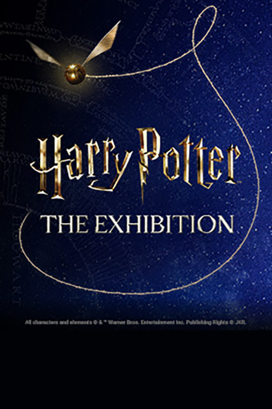 HARRY POTTER